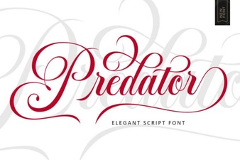 Predator Font: Bold Typography for Creative Projects
